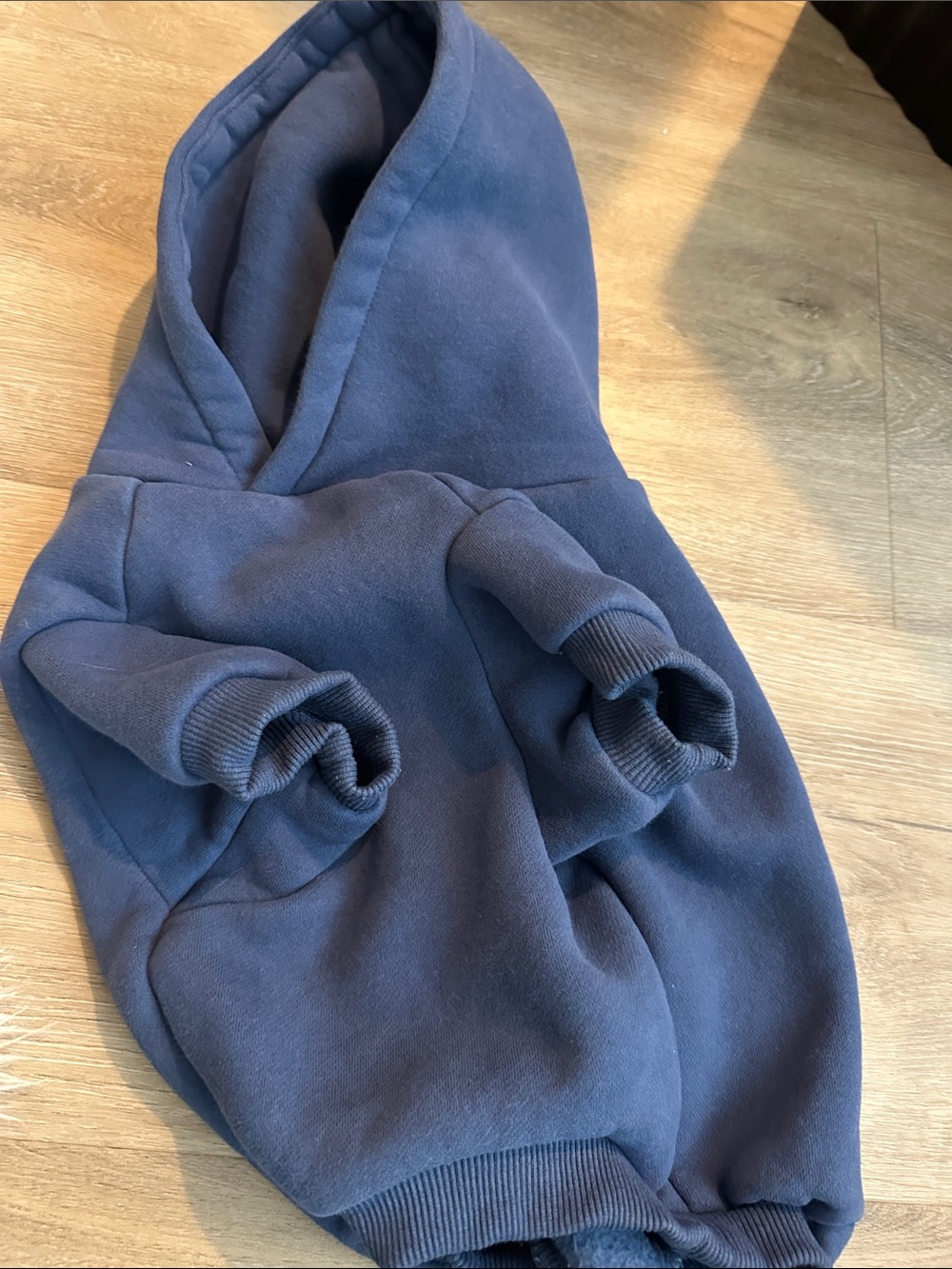 Blue Dog Hoodie Sweatshirt - Comfortable Pullover for Pets - Comfrt Size Large - Picture 6 of 11